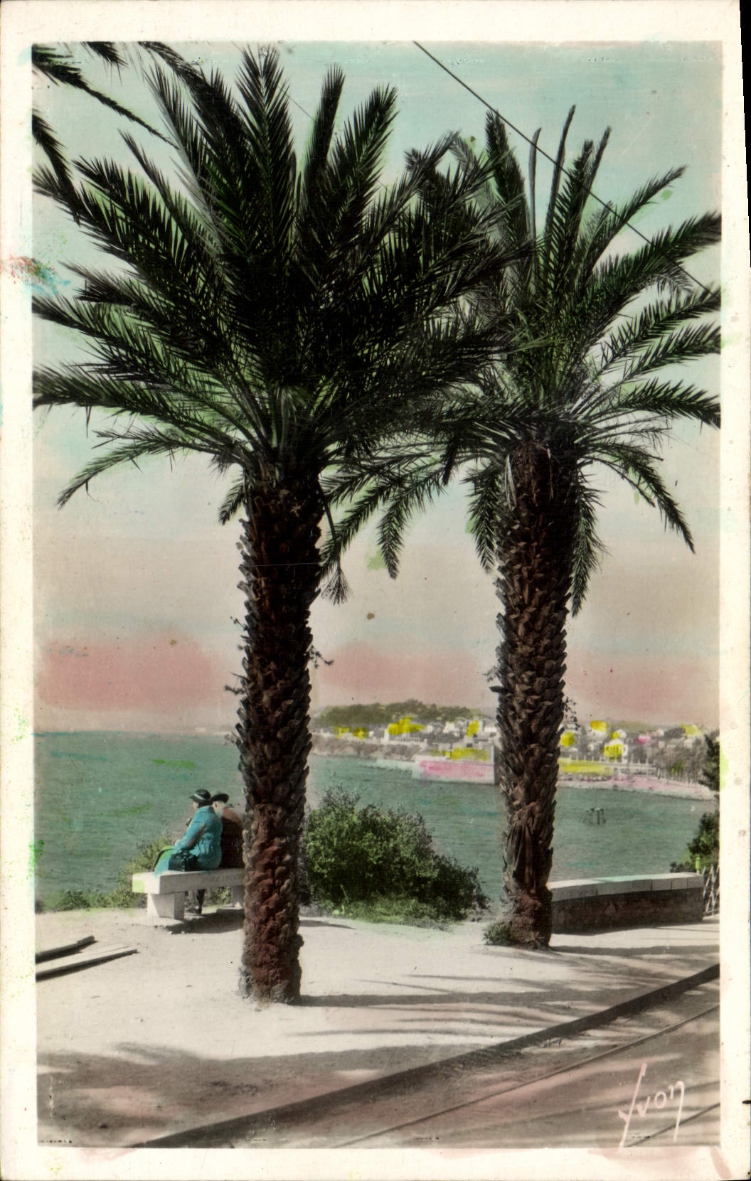 VINTAGE POSTCARD Toulon Boulevard of the Littoral Palm tree