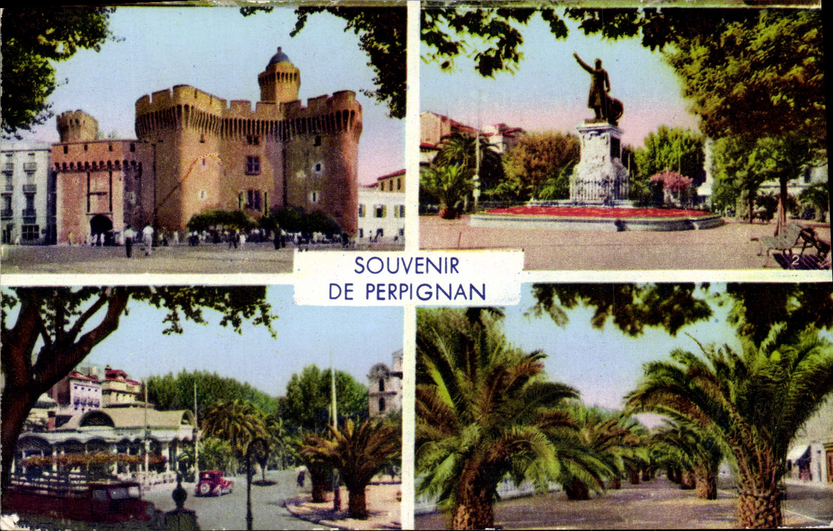 MODERN CARD Souvenir Of Perpignan Castillet Places Arago Palmarium palm trees