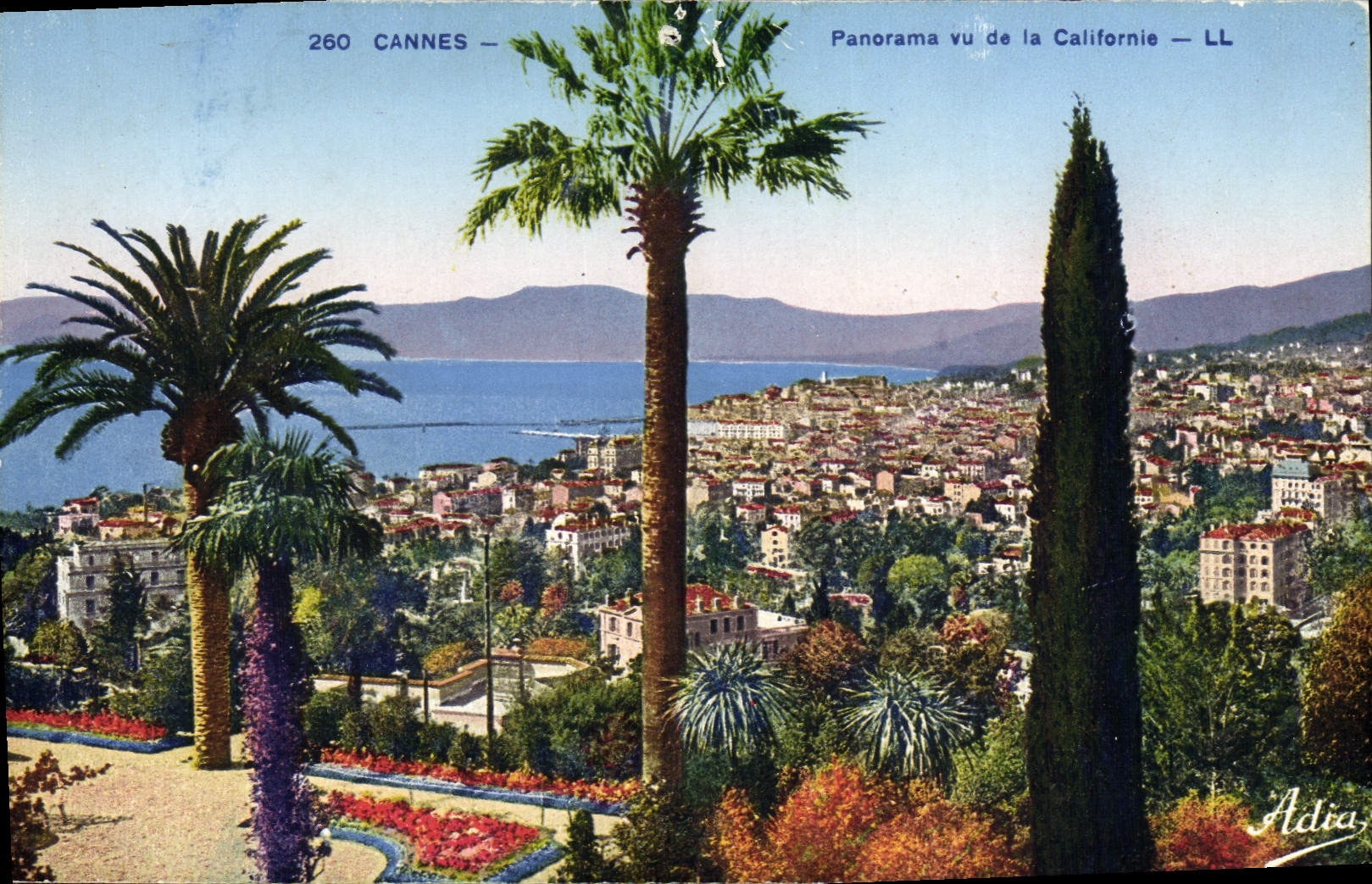Panorama de Cannes de la POSTAL de la VENDIMIA visto de California