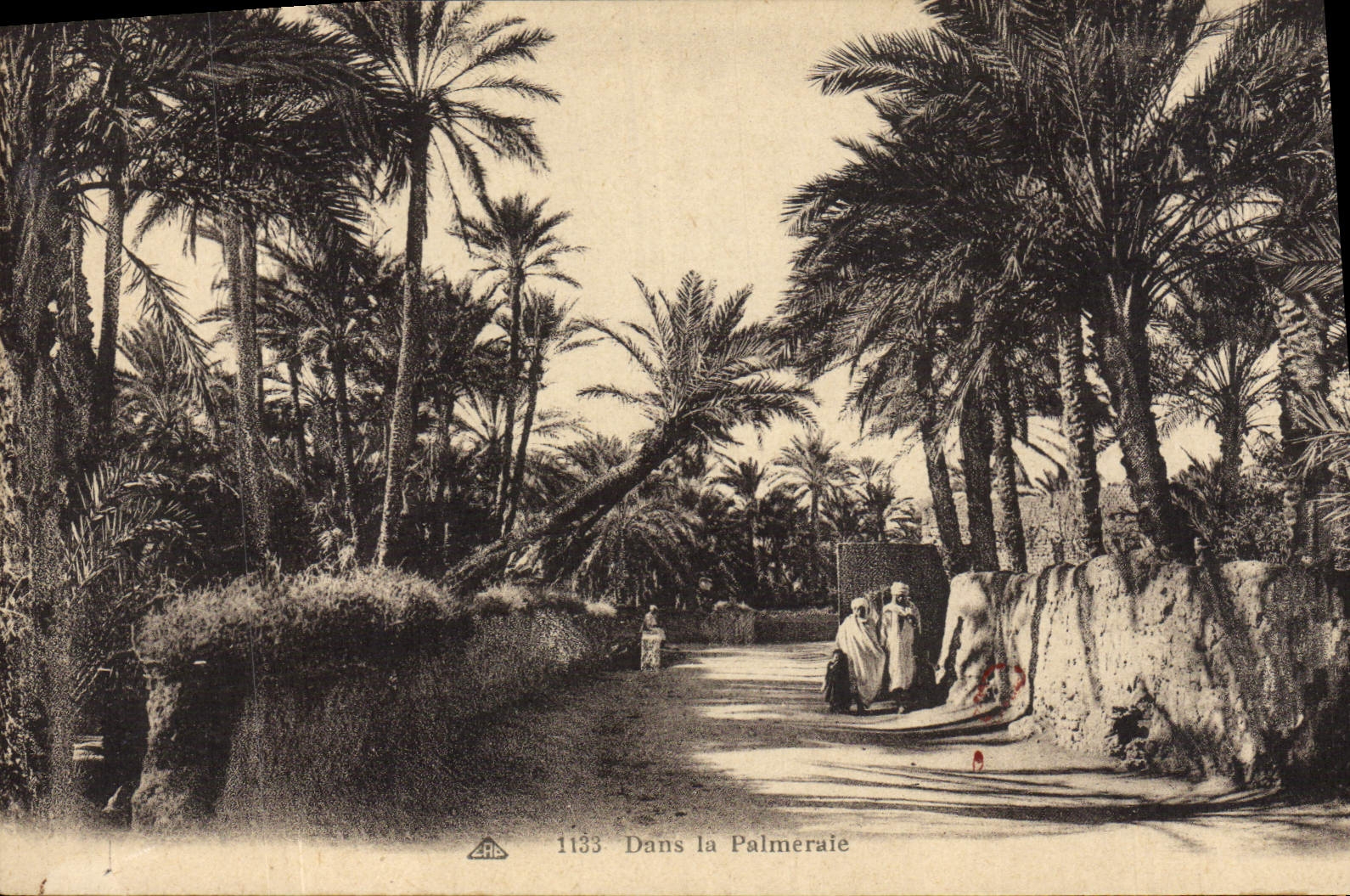 CPA Dans la Palmeraie