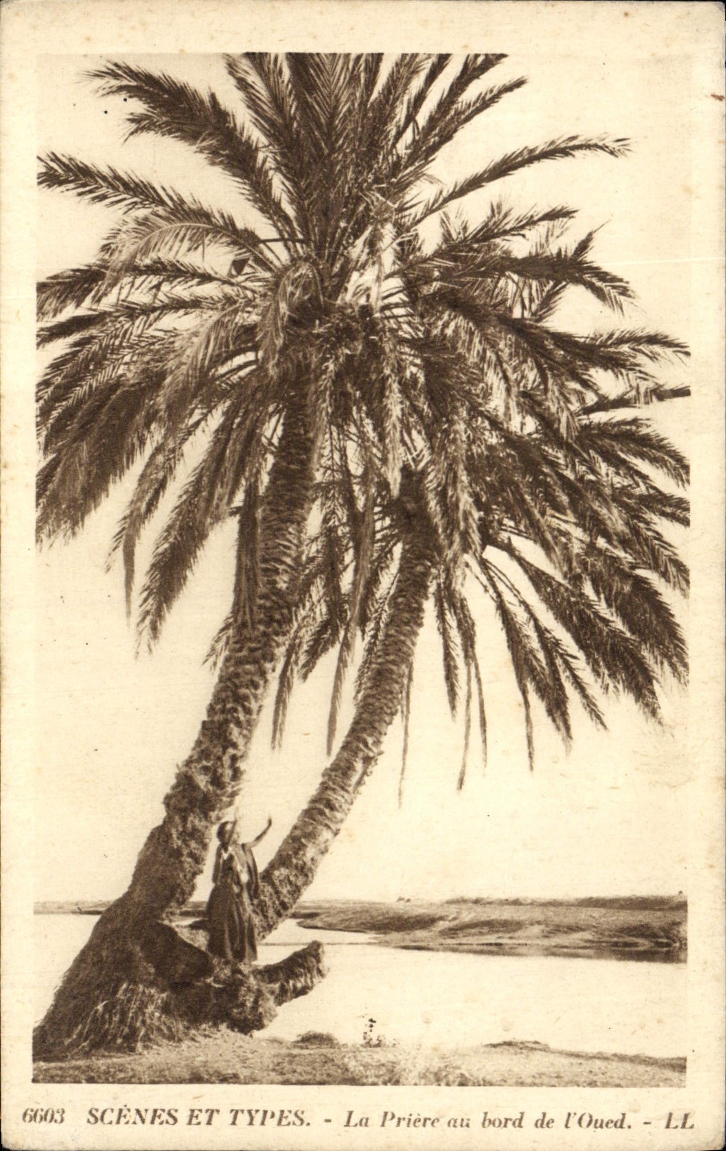 CPA Scenes Et Types La Priere au bord de l'Oued