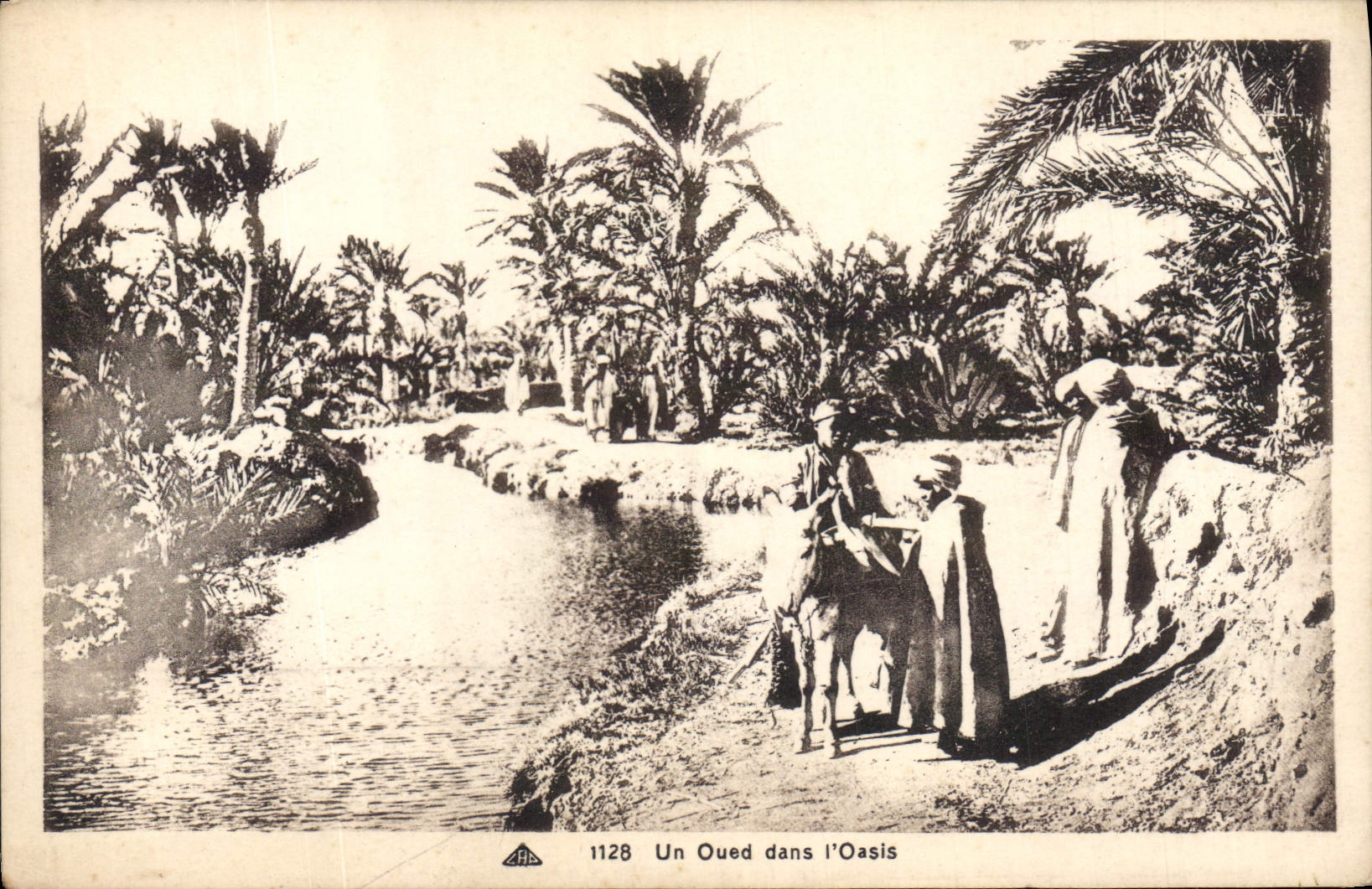 CPA Un Oued dans L'Oasis Ane Mule