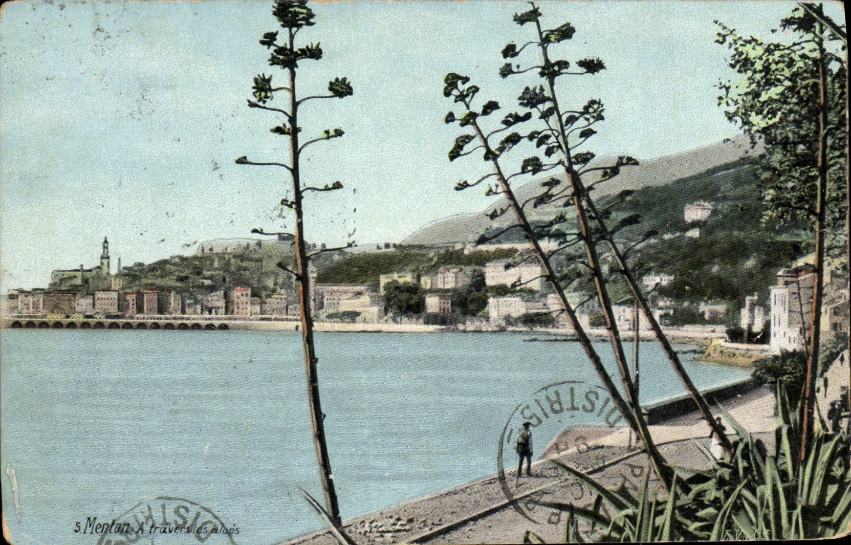 VINTAGE POSTCARD Menton Through Aloes