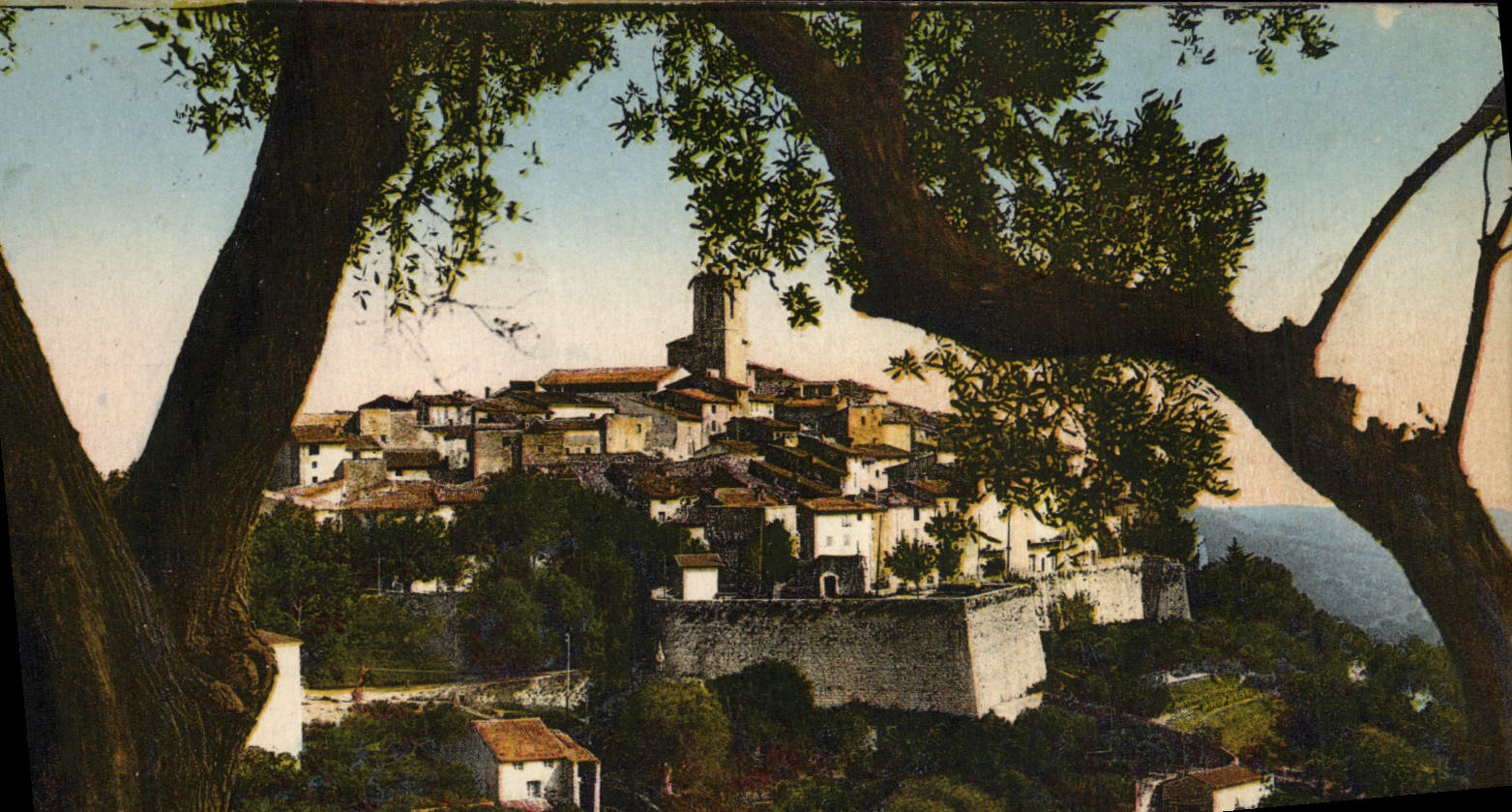VINTAGE POSTCARD the Dimension of Saint Paul Azure View between the Olive-trees