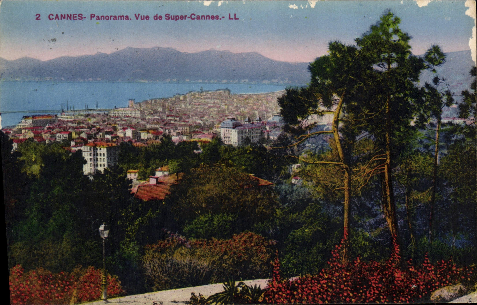 VINTAGE POSTCARD Cannes Panorama Seen of Super Cannes