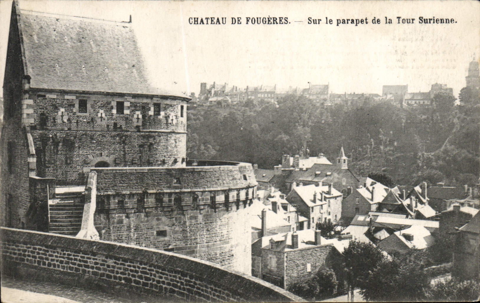 Castillo de la POSTAL de la VENDIMIA de helechos en el parapeto de la torre de Surienne