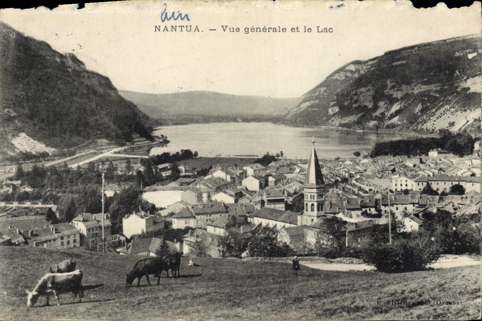 VINTAGE POSTCARD Nantua View and the Lake Cows