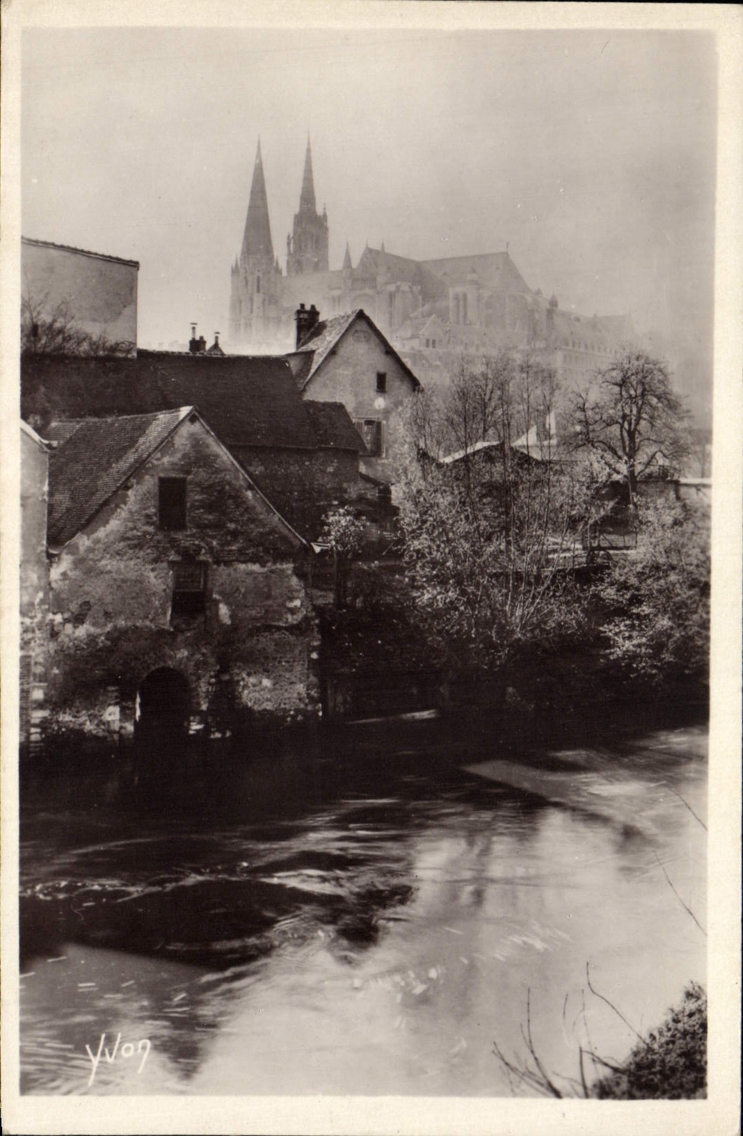 MODERN CARD Crossbred Chartres of spring on the edges of the Eure