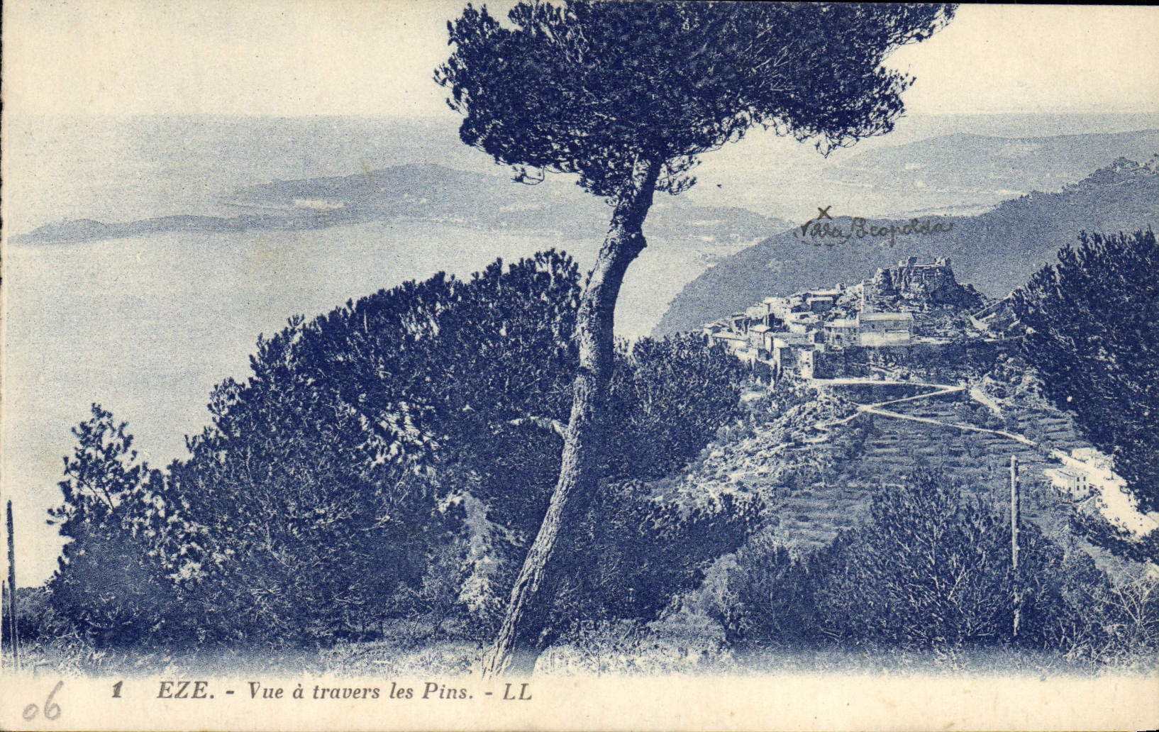 POSTAL Eze de la VENDIMIA visto a través de los pinos