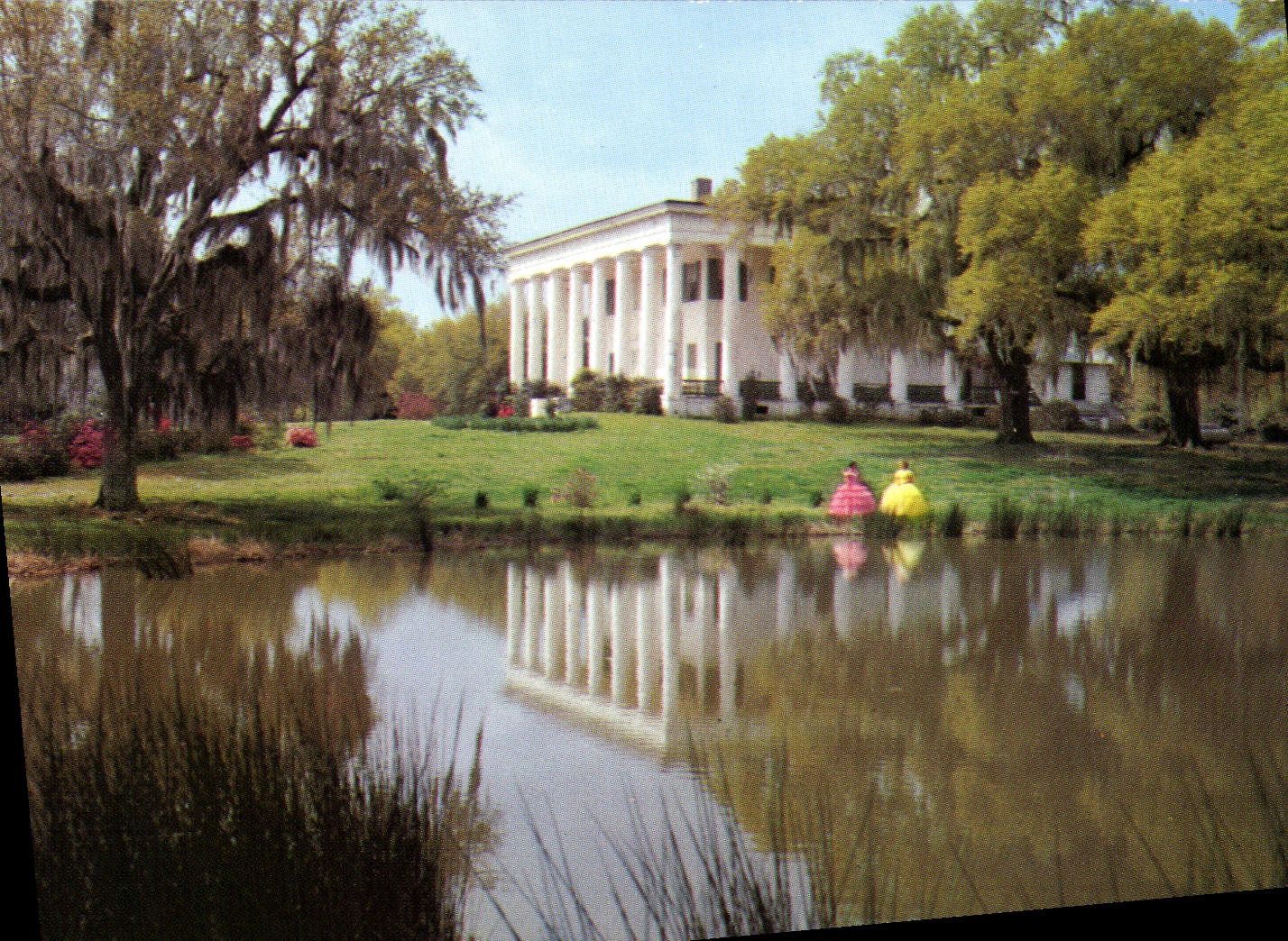 MODERN CARD Greenwood Plantation