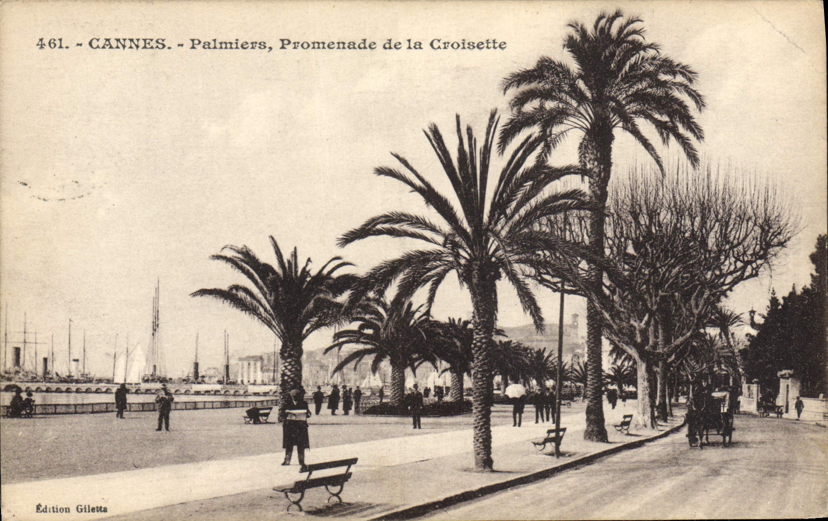 VINTAGE POSTCARD Cannes Palm trees Walk of the Small cross