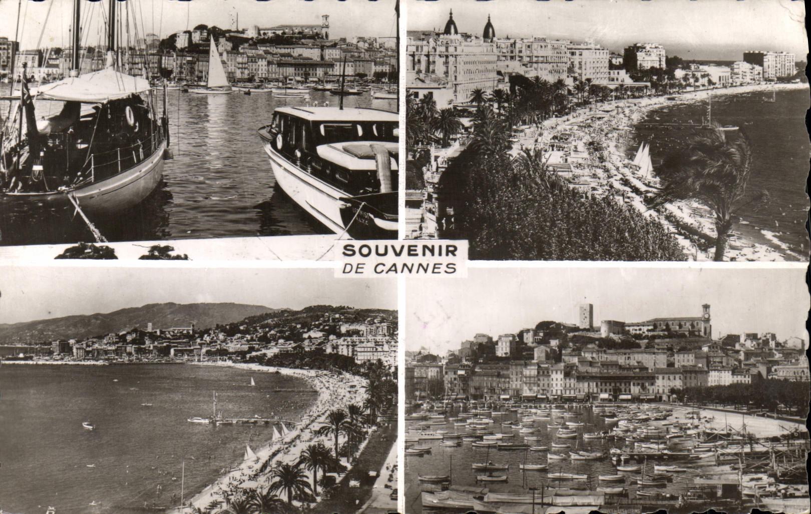 MODERN CARD Cannes the port the small cross and the Mount Knight