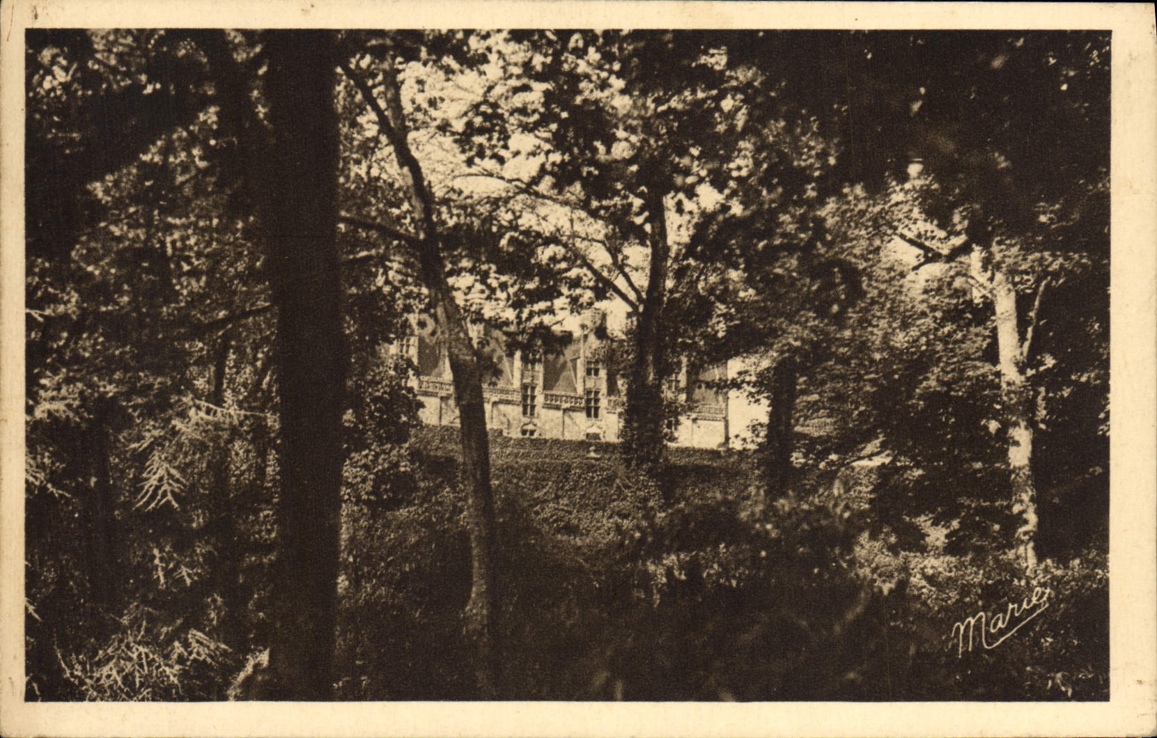 VINTAGE POSTCARD Josselin Castle interior Frontage sight of the park