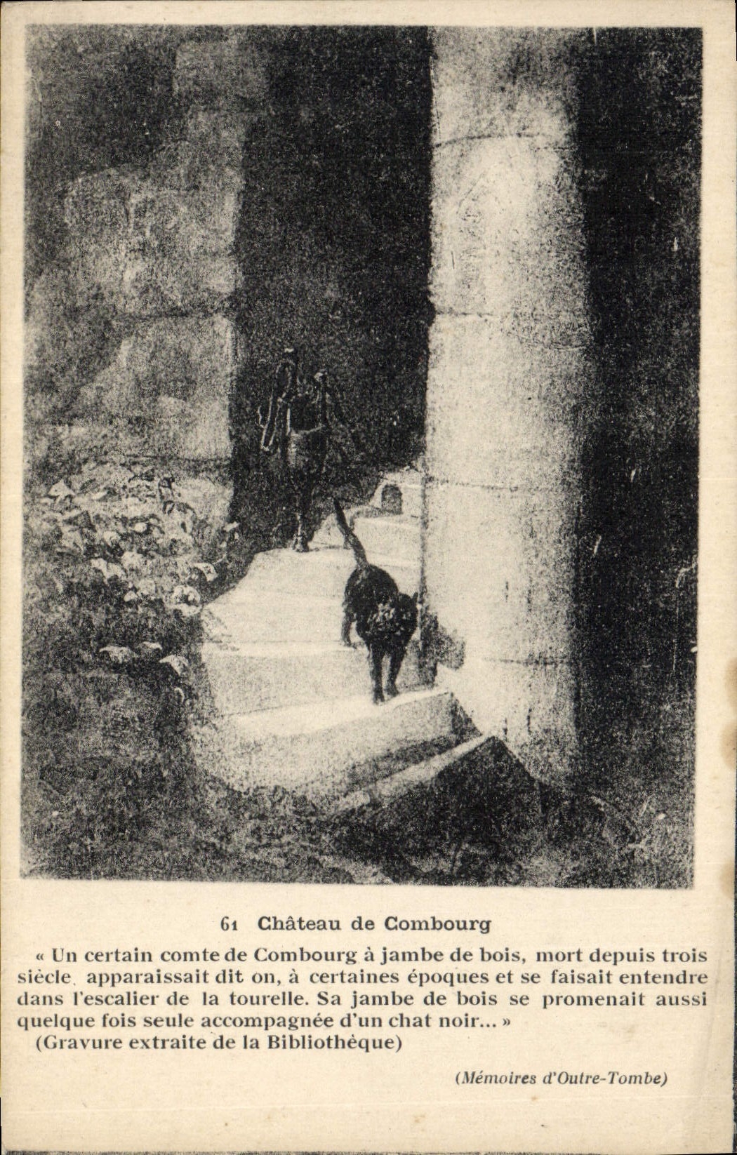 VINTAGE POSTCARD Castle of Combourg Cat