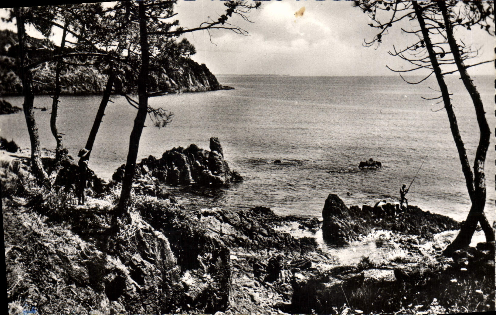 MODERN CARD Cannes Trayas