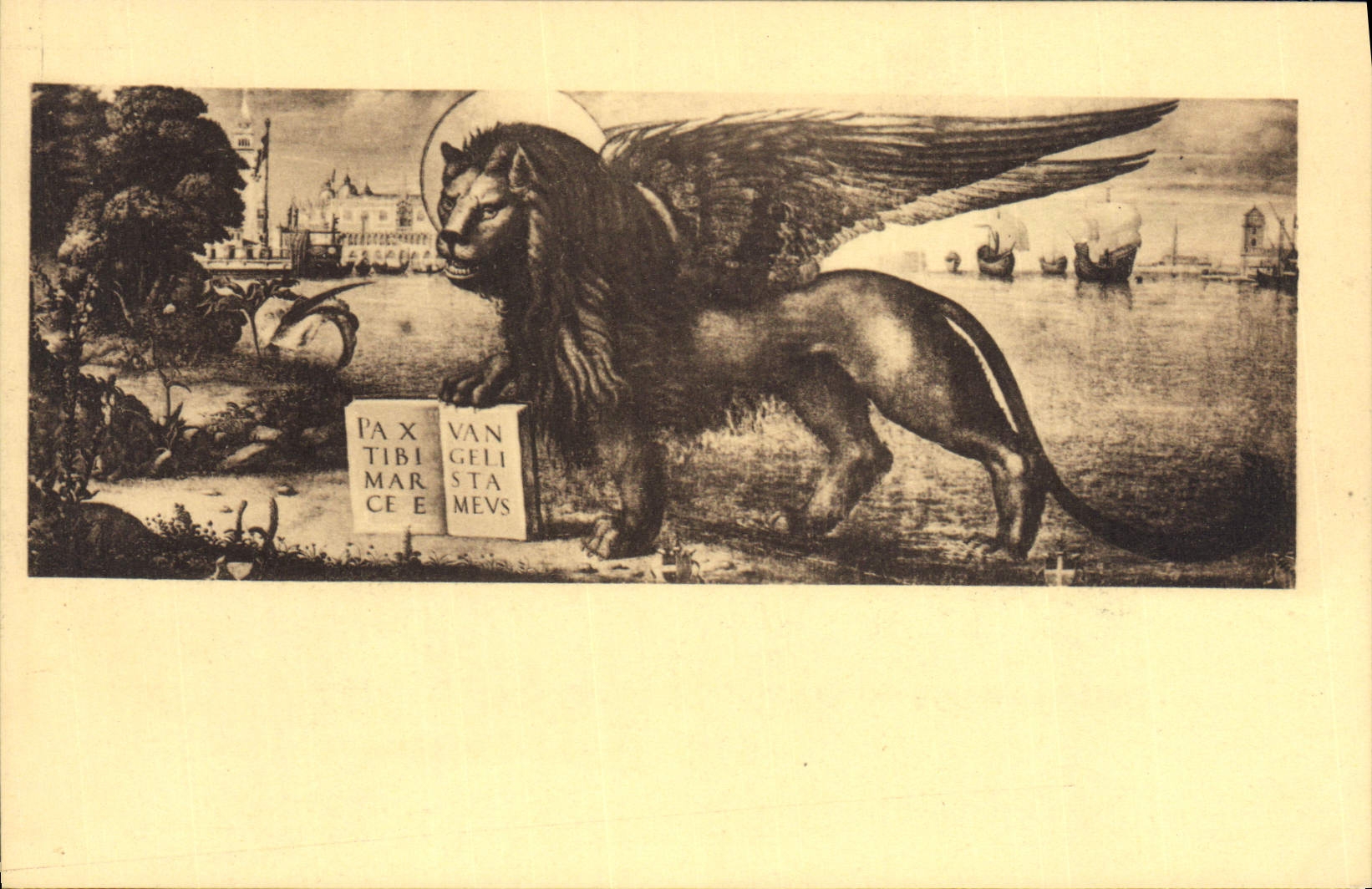 VINTAGE POSTCARD Venezia Palozzo Ducal Leone del Carpaccio Lion