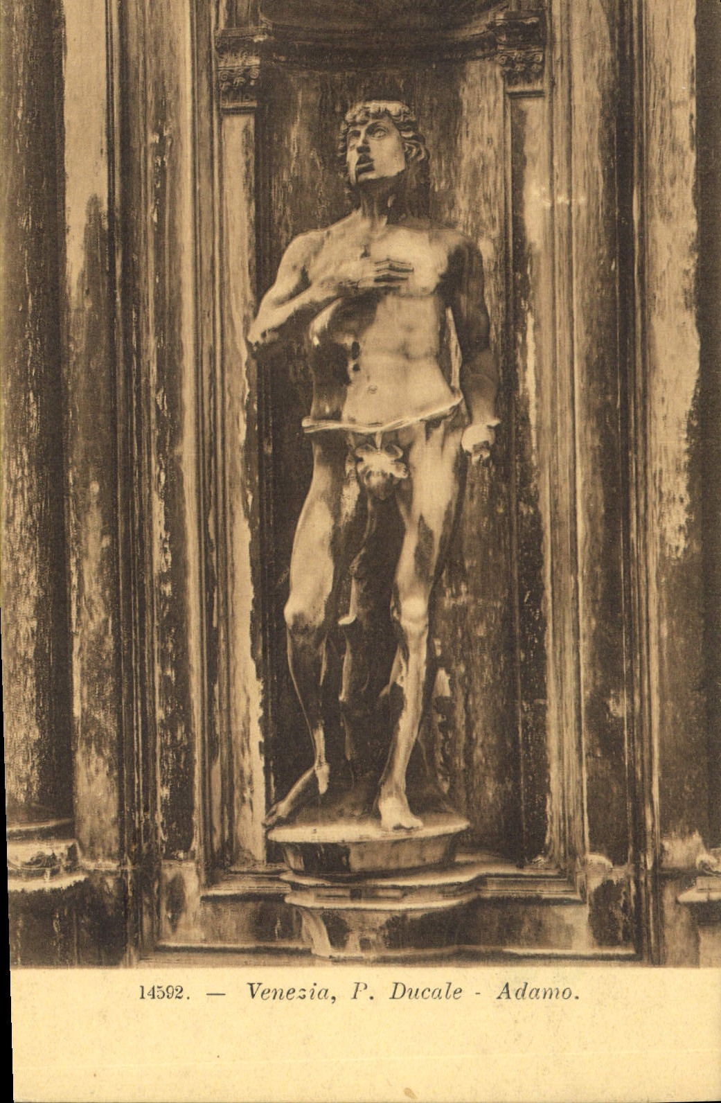 VINTAGE POSTCARD Venezia P Ducal Adamo