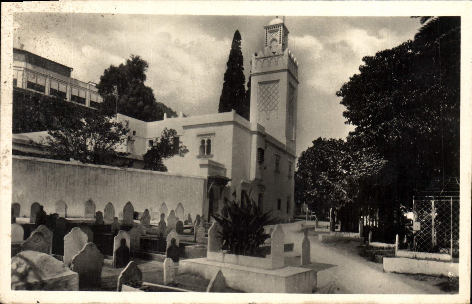 VINTAGE POSTCARD Algiers Mosque Of Hamma And Indigenous Cimetiere
