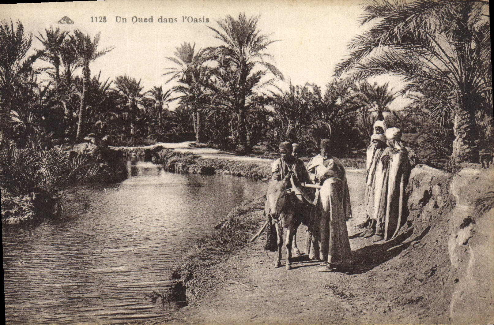 CPA Un Oued dans l'Oasis Ane Mule