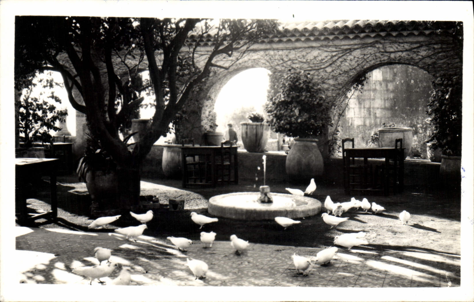 MODERN CARD Saint Paul