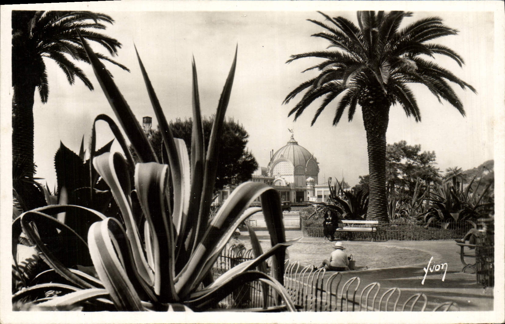 CPA Nice Cote Dazur Jardins Albert 1er