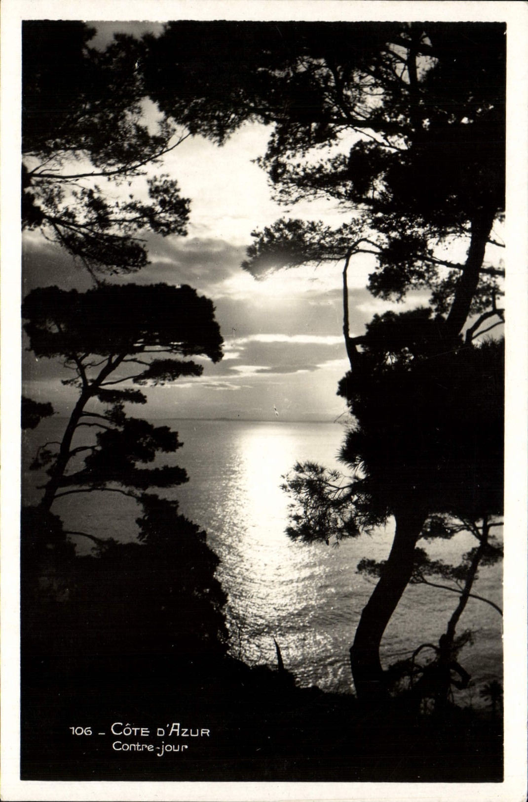 CPA Cote D'Azur Contre Jour