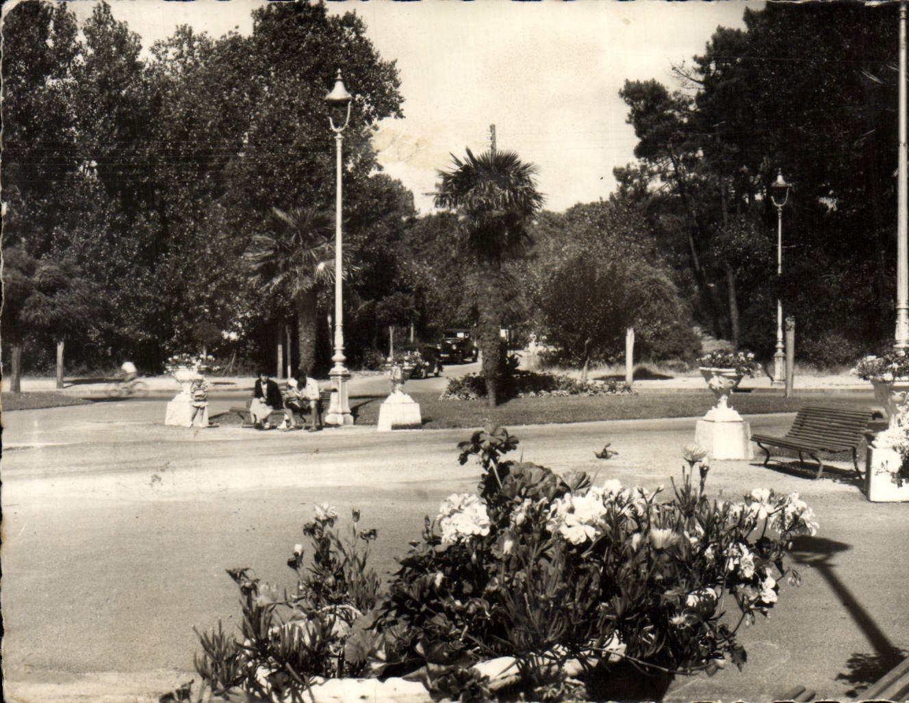 CPM La Baule Les Pins Place Des Palmiers