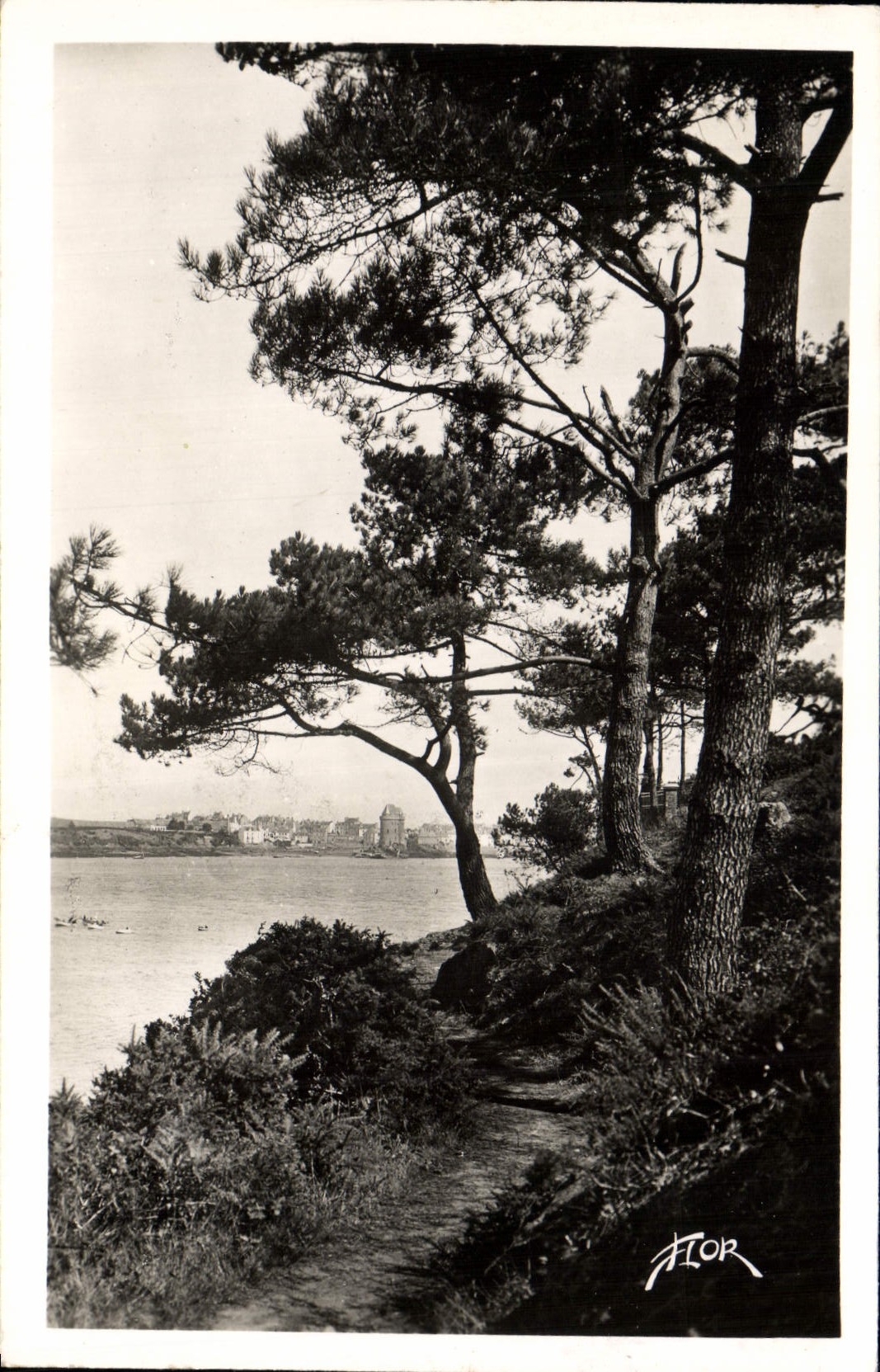 CPM Dinard Le Chemin De Ronde
