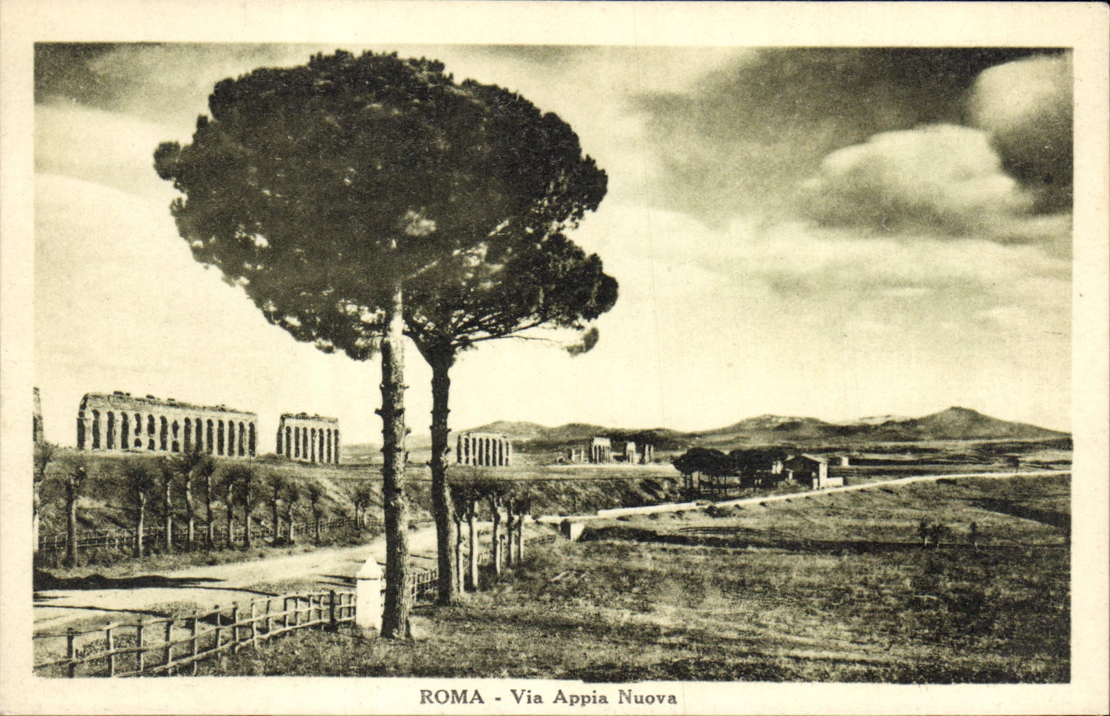 POSTAL Roma de la VENDIMIA vía Appia Nuova