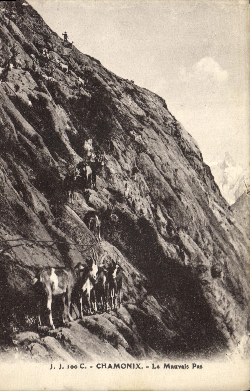 POSTAL Chamonix de la VENDIMIA la mala cabra del paso