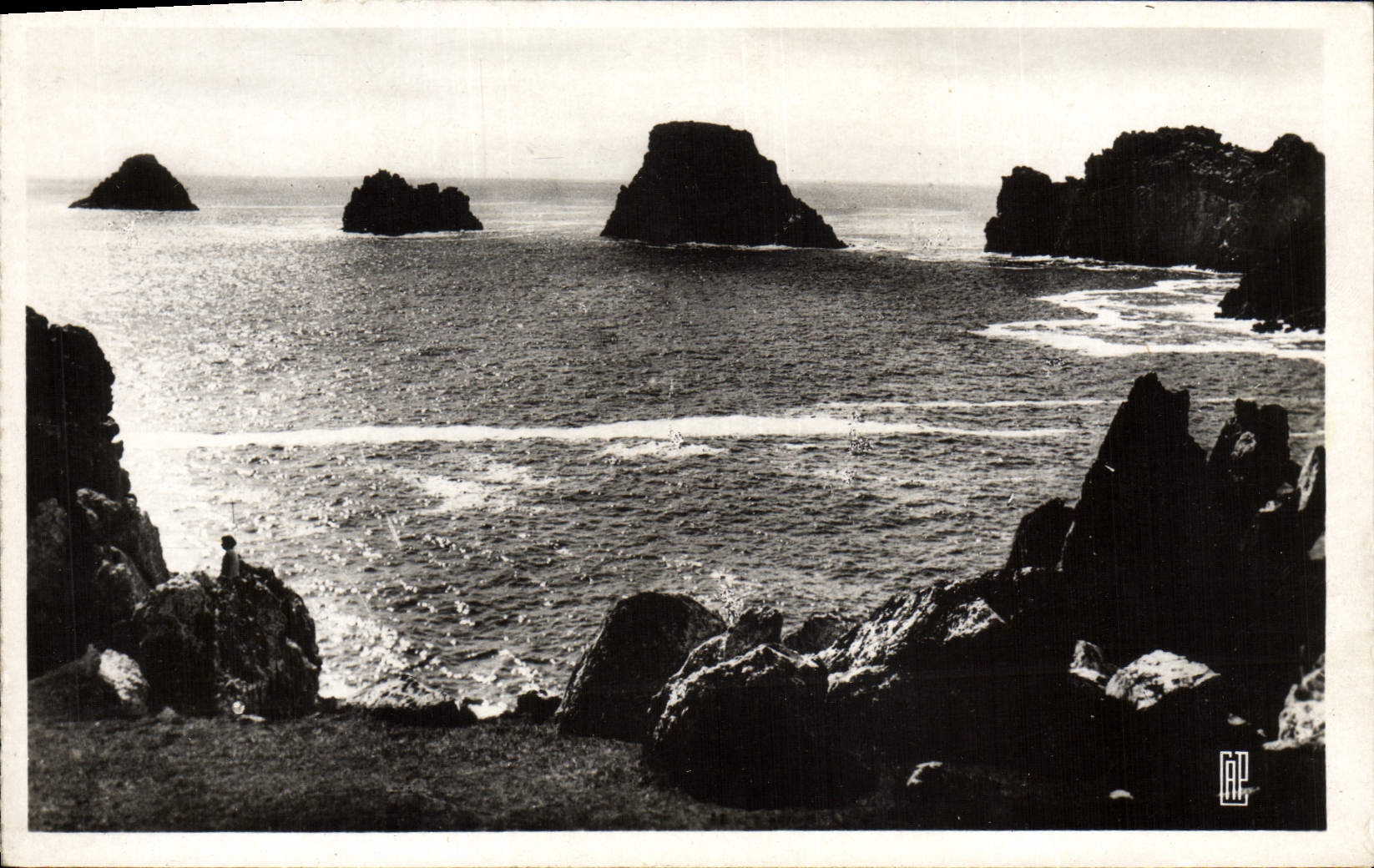 CPA Camaret Les Tas de Pois Vus de la Salle Verte