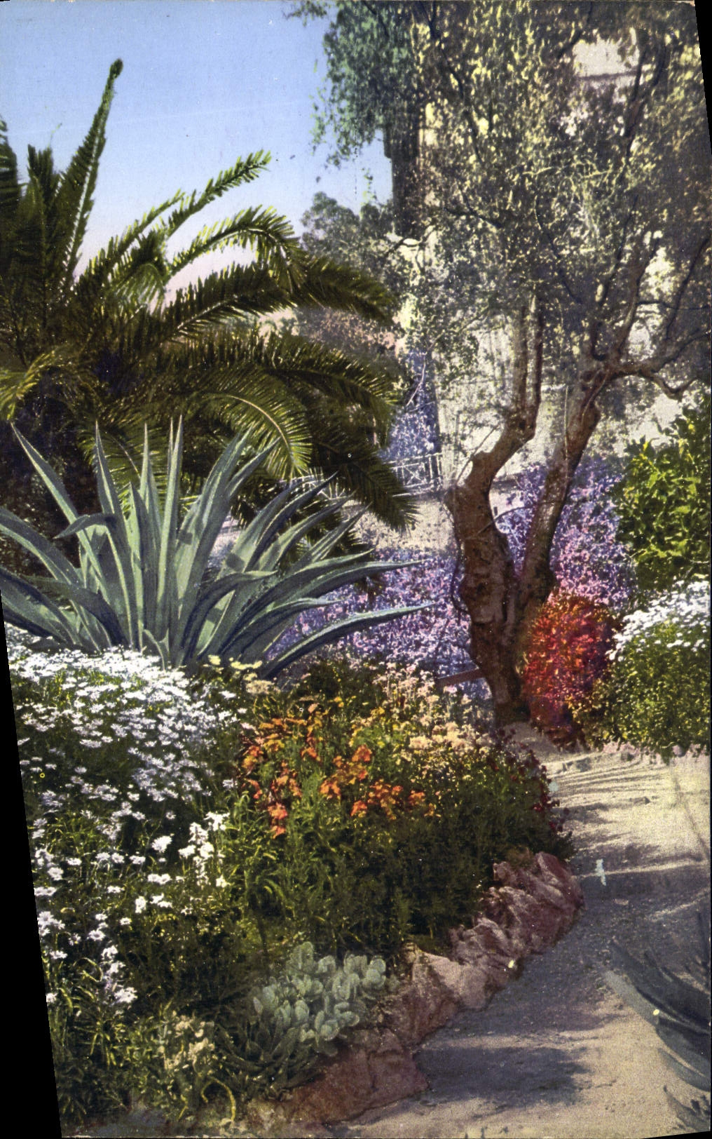 CPA Giardini Villa Mortola Ventimiglia