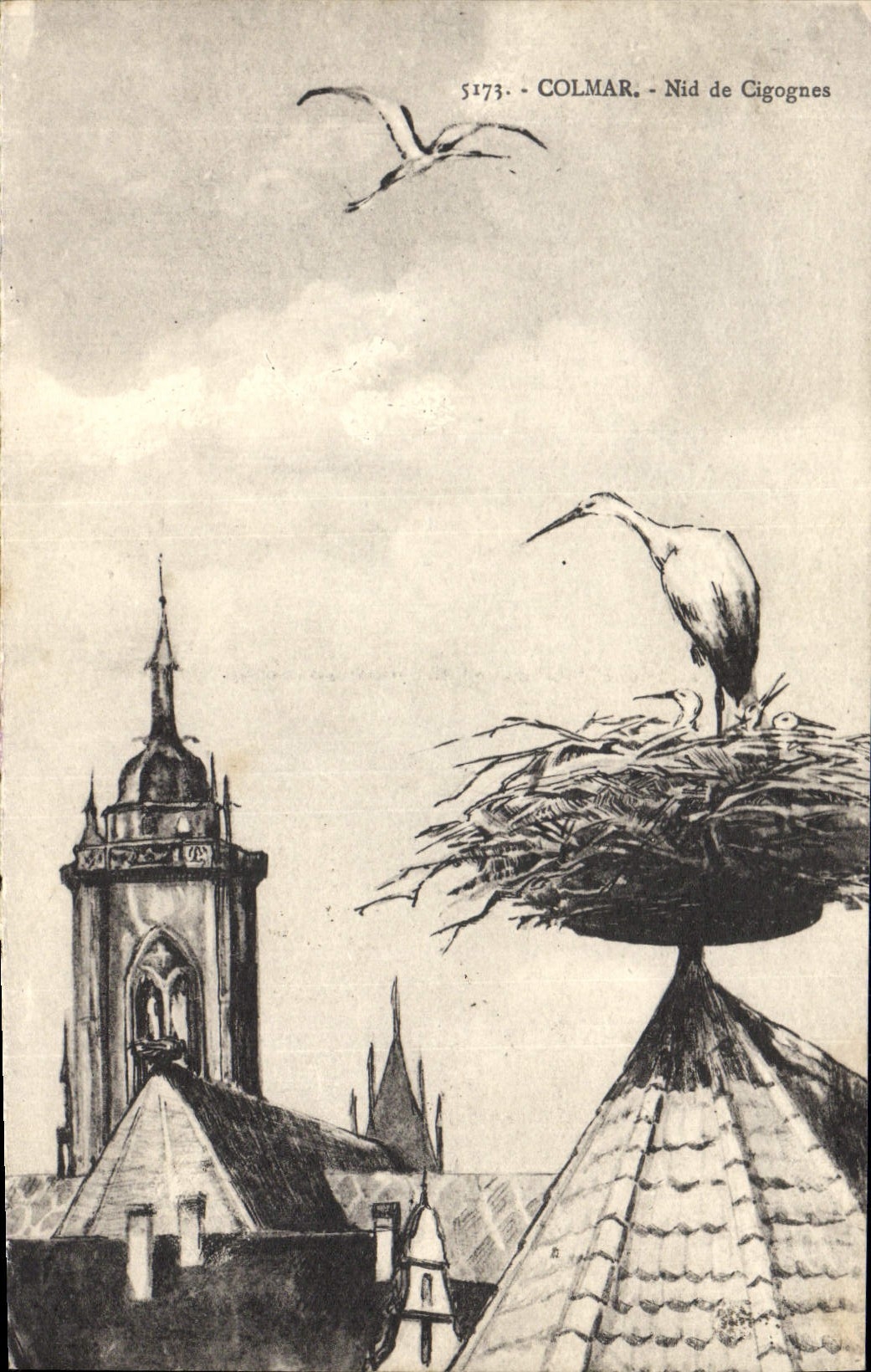 VINTAGE POSTCARD Colmar Nest of Storks