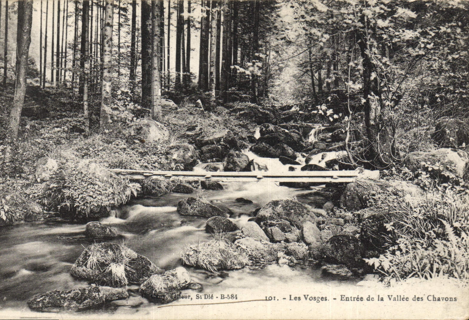VINTAGE POSTCARD the Vosges Entered of the Valley of Chavons