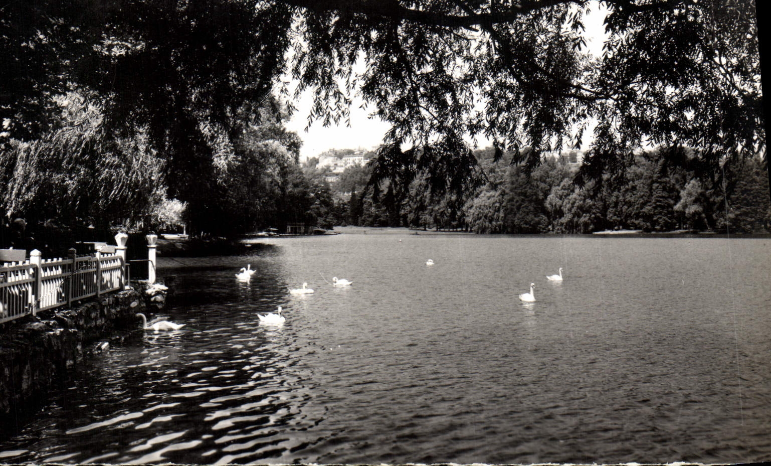 MODERN CARD Lyon Villeurbanne the Lake Park of the gold Head