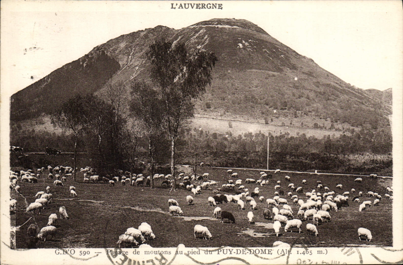 VINTAGE POSTCARD Beach of sheep to the Foot of Puy de Dome