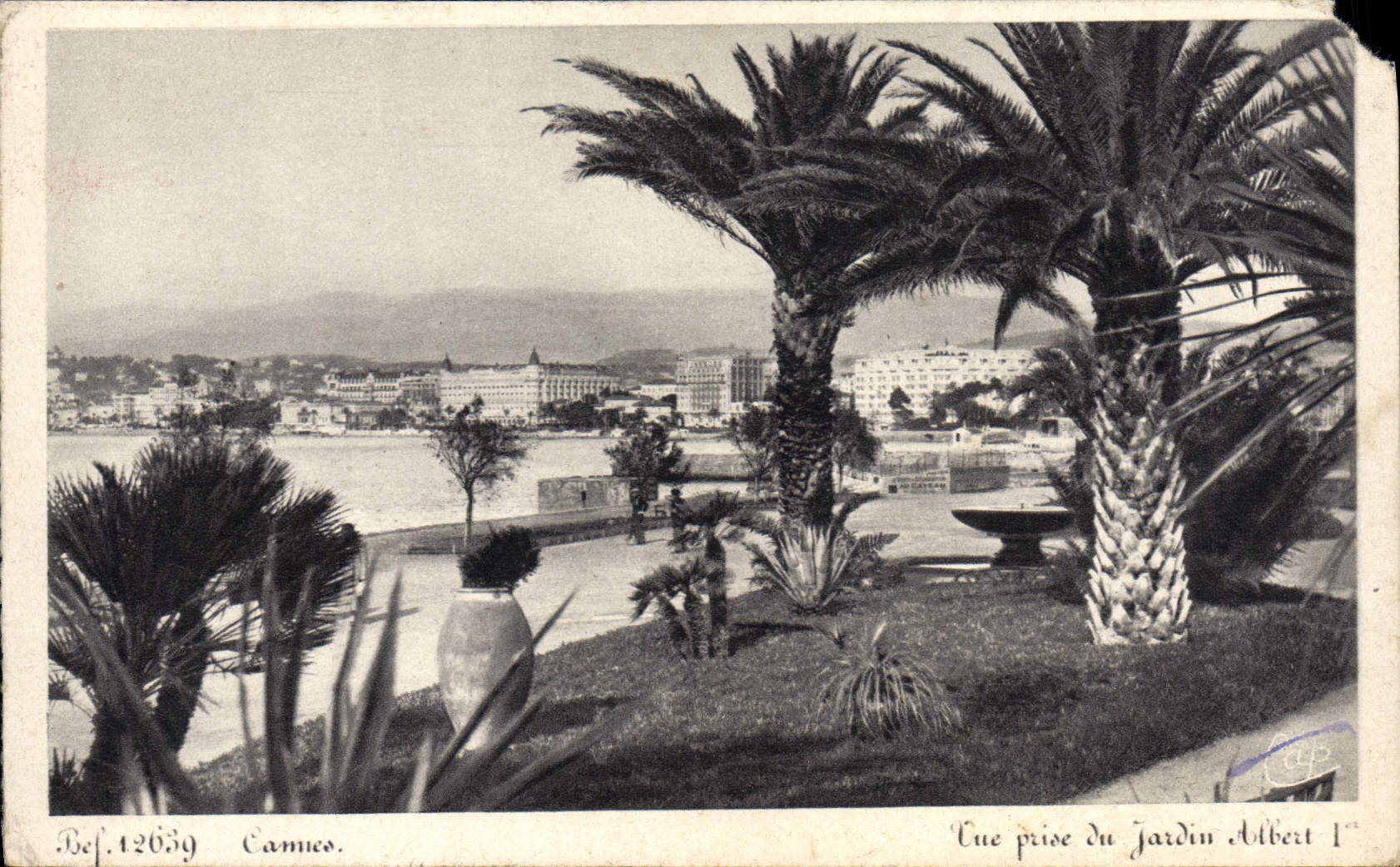 VINTAGE POSTCARD Cannes Seen from of the garden Albert 1st