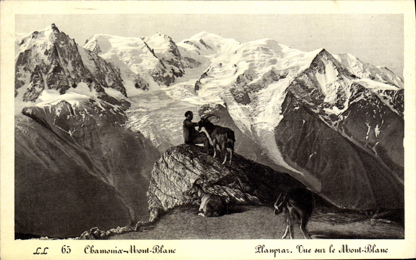 CPA Chamonix Mont Blanc Planpraz Vue sur le Mont Blanc Chevre Bouc
