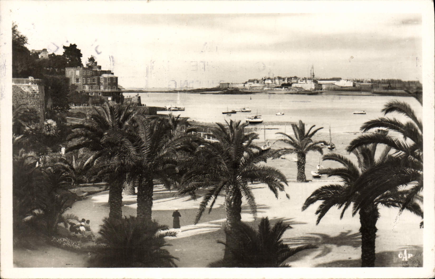 CPA Dinard La palmeraie Au fond St Malo