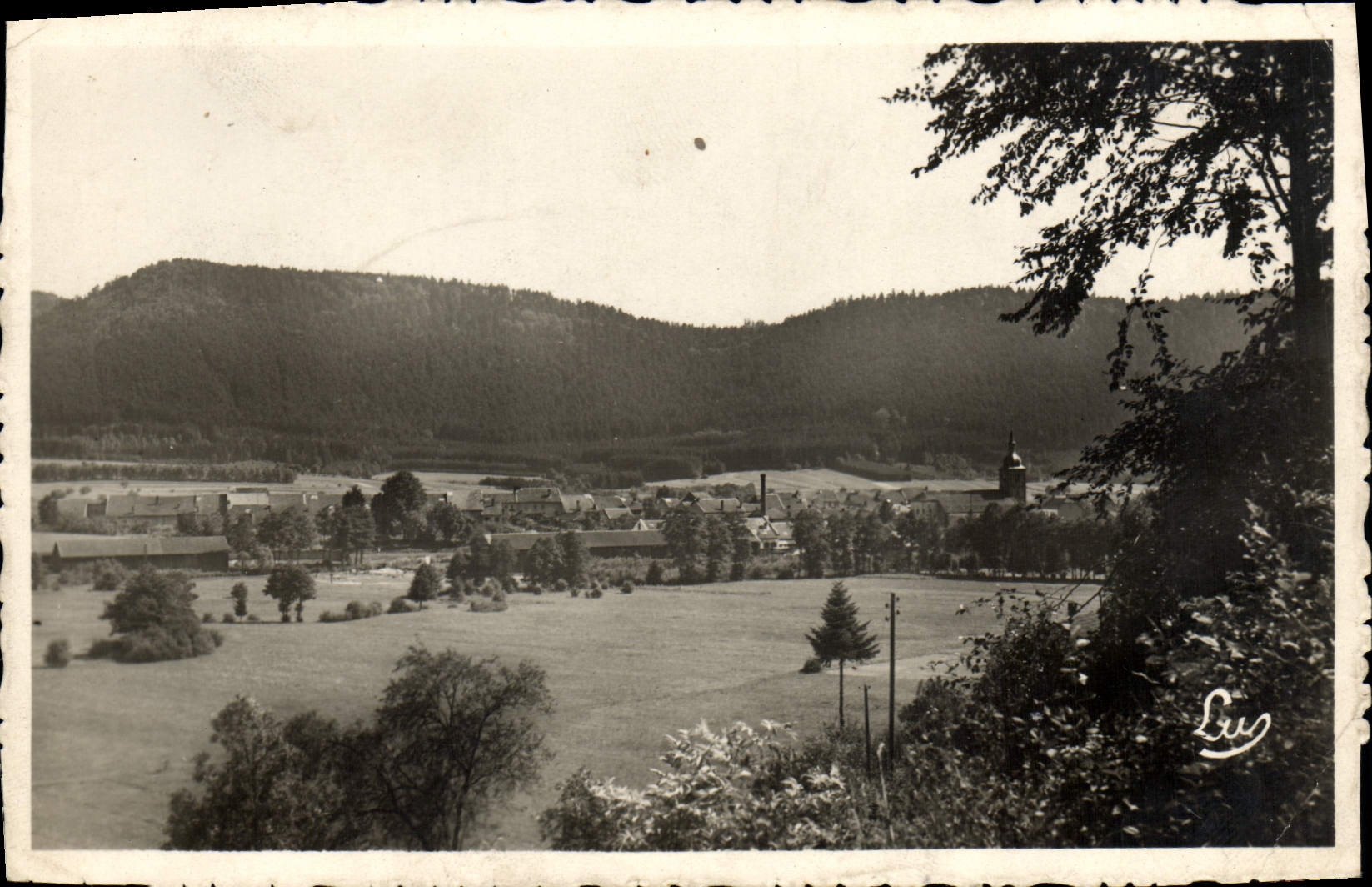 VINTAGE POSTCARD the Picturesque Vosges Those On Plain