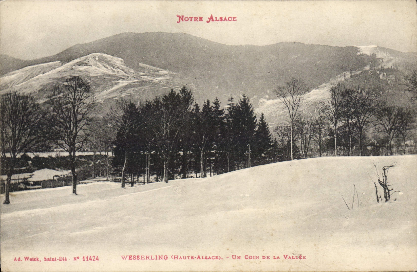 POSTAL Wesserling de la VENDIMIA una esquina del valle