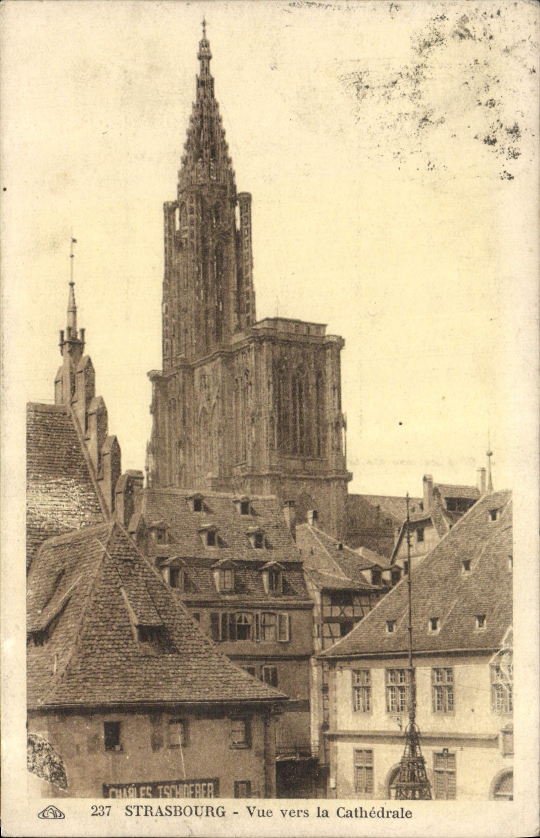 POSTAL Estrasburgo de la VENDIMIA vista hacia la catedral