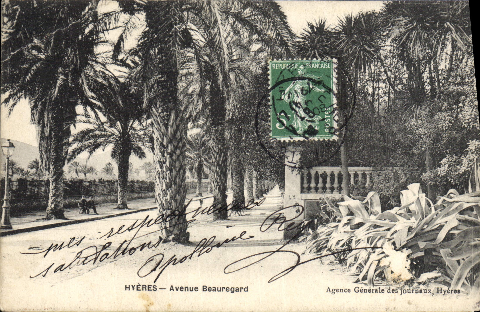 VINTAGE POSTCARD Hyeres Beauregard Avenue
