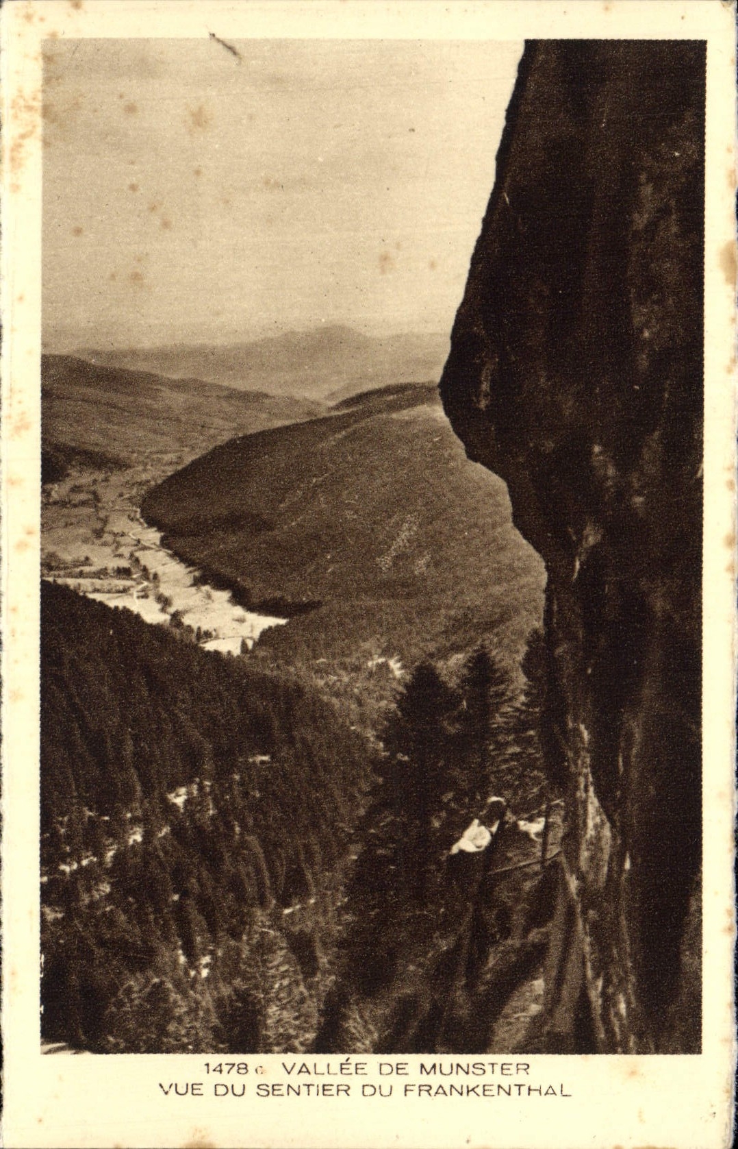 Valle de la POSTAL de la VENDIMIA de Munster visto de la trayectoria de Frankhental