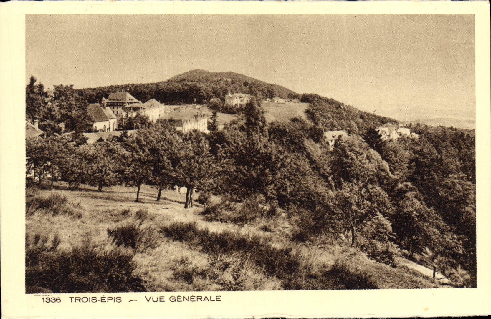 VINTAGE POSTCARD Three Ears View