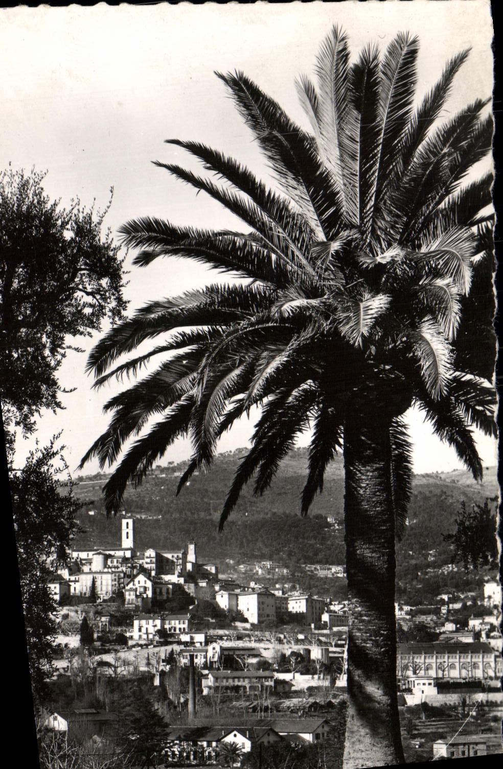 CPM Grasse Vue Generale 