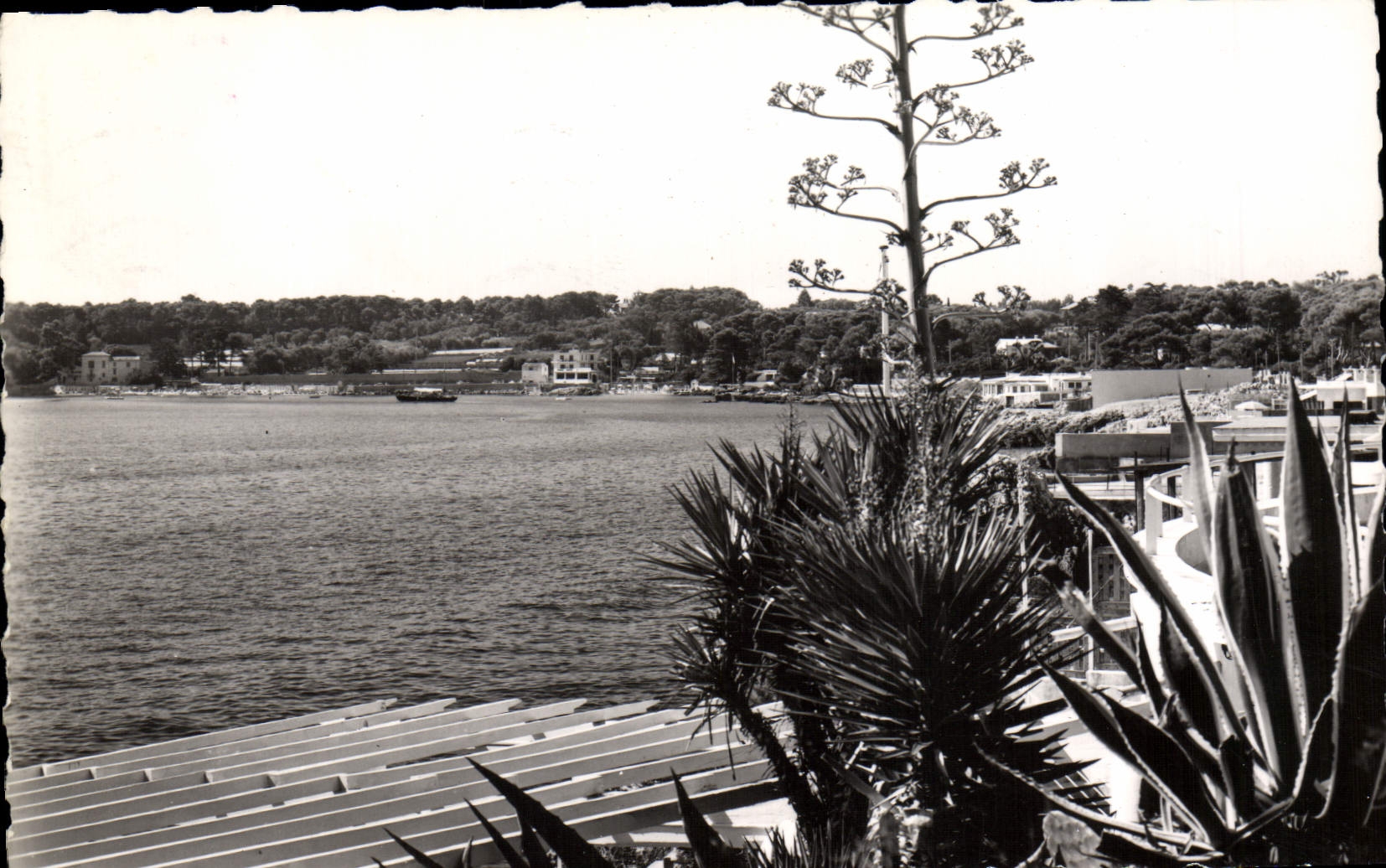 MODERN CARD Garoupe Seen on Bay of Garoupe and the beaches