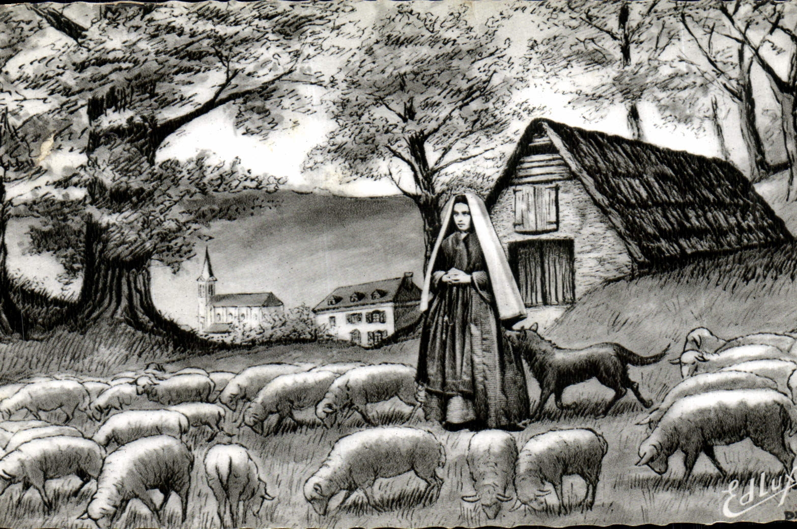 MODERN CARD Lourdes has Bartres Bernadette Moutons