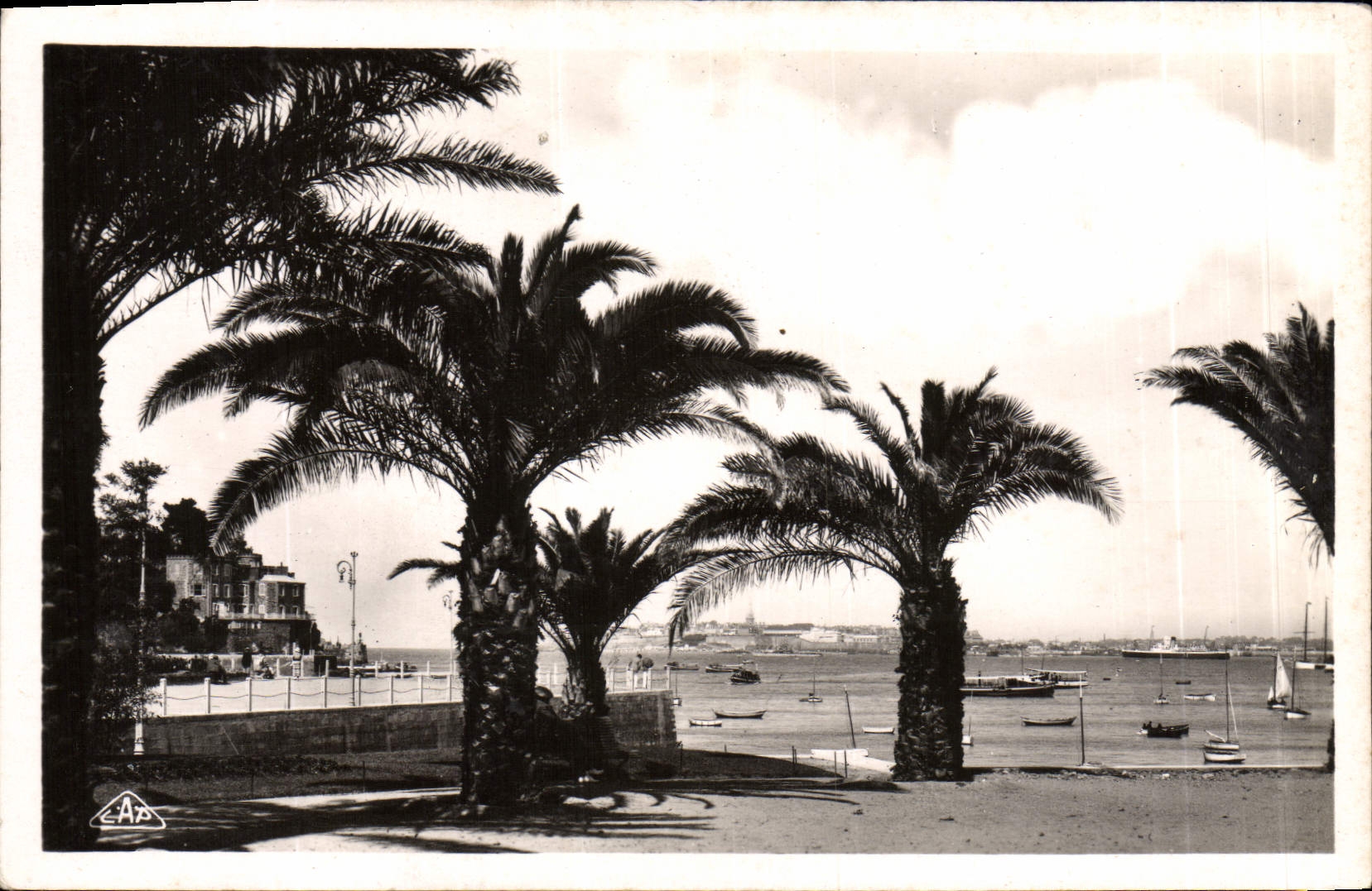 CPA Dinard Les palmiers Au fond St Malo a droite le Britanny