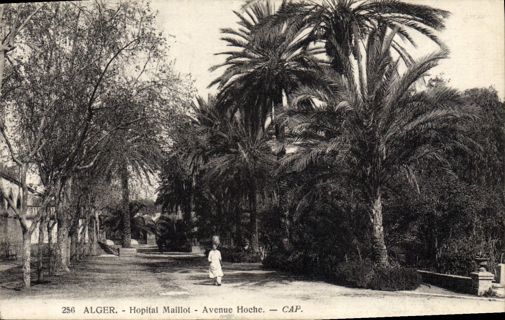 Camisa del hospital de Argel de la POSTAL de la VENDIMIA que ocurrió muesca